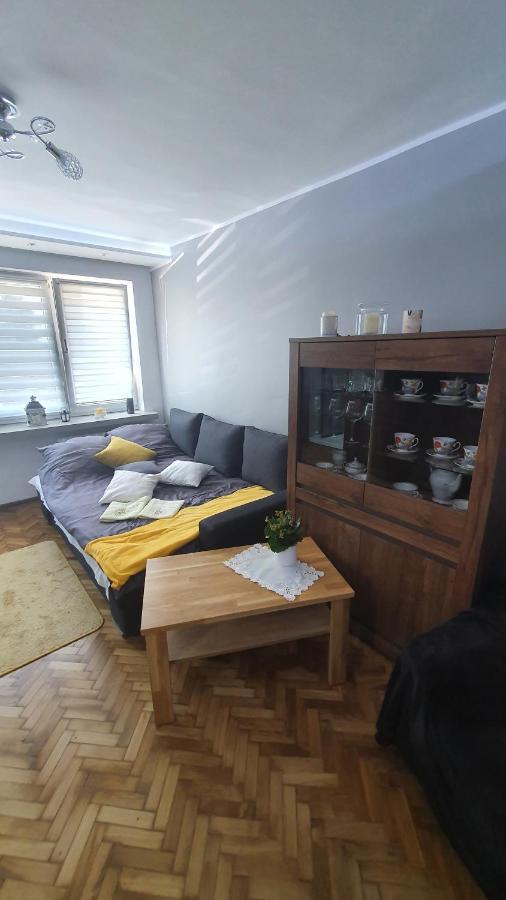 Apartament Park Saski ساندومييش المظهر الخارجي الصورة