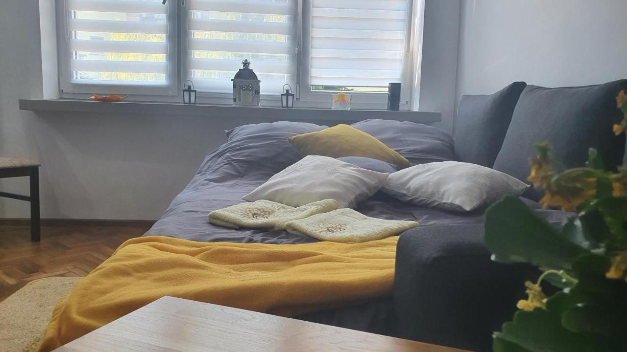Apartament Park Saski ساندومييش المظهر الخارجي الصورة