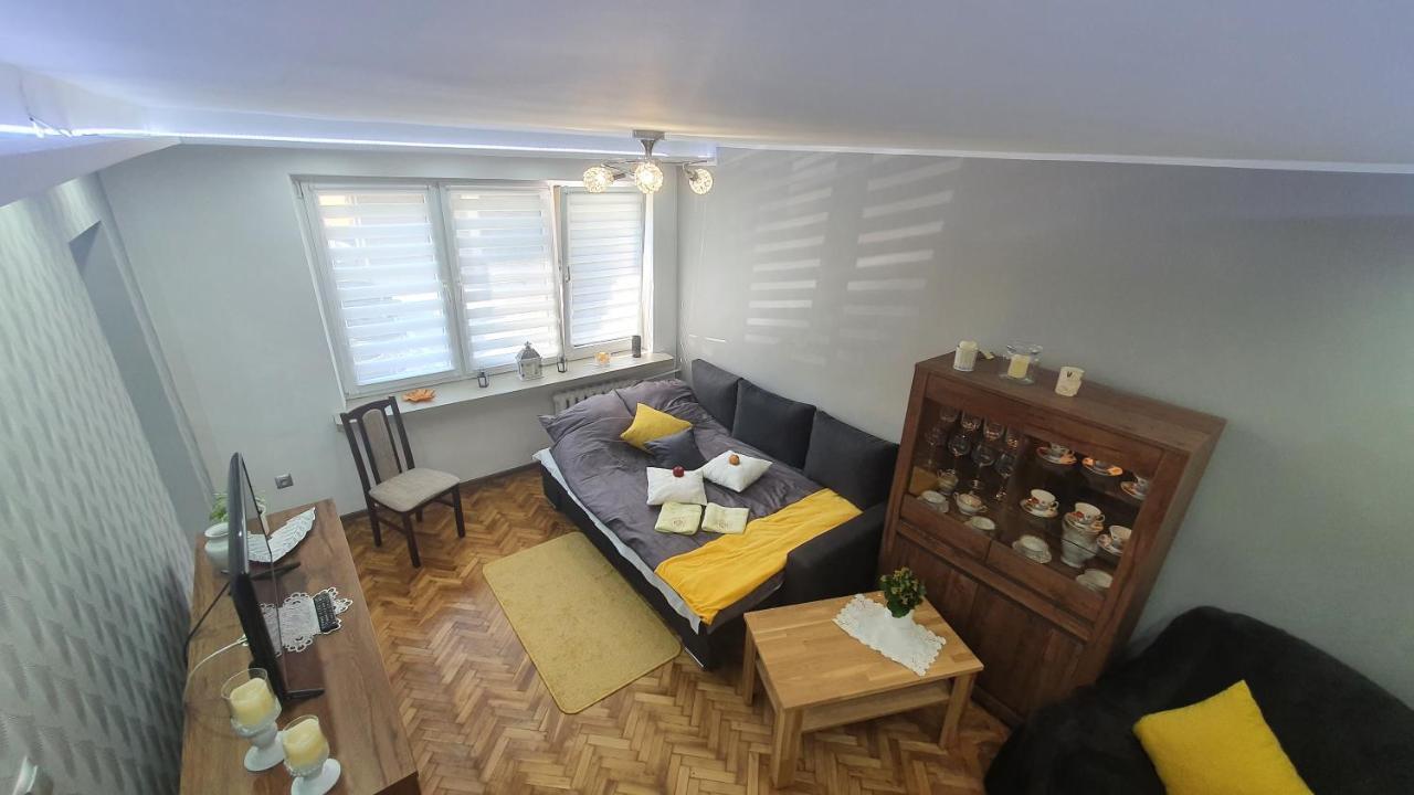 Apartament Park Saski ساندومييش المظهر الخارجي الصورة